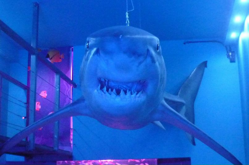 Настенька Яковлева | Псков