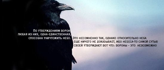 Елена Москвина | Ухта