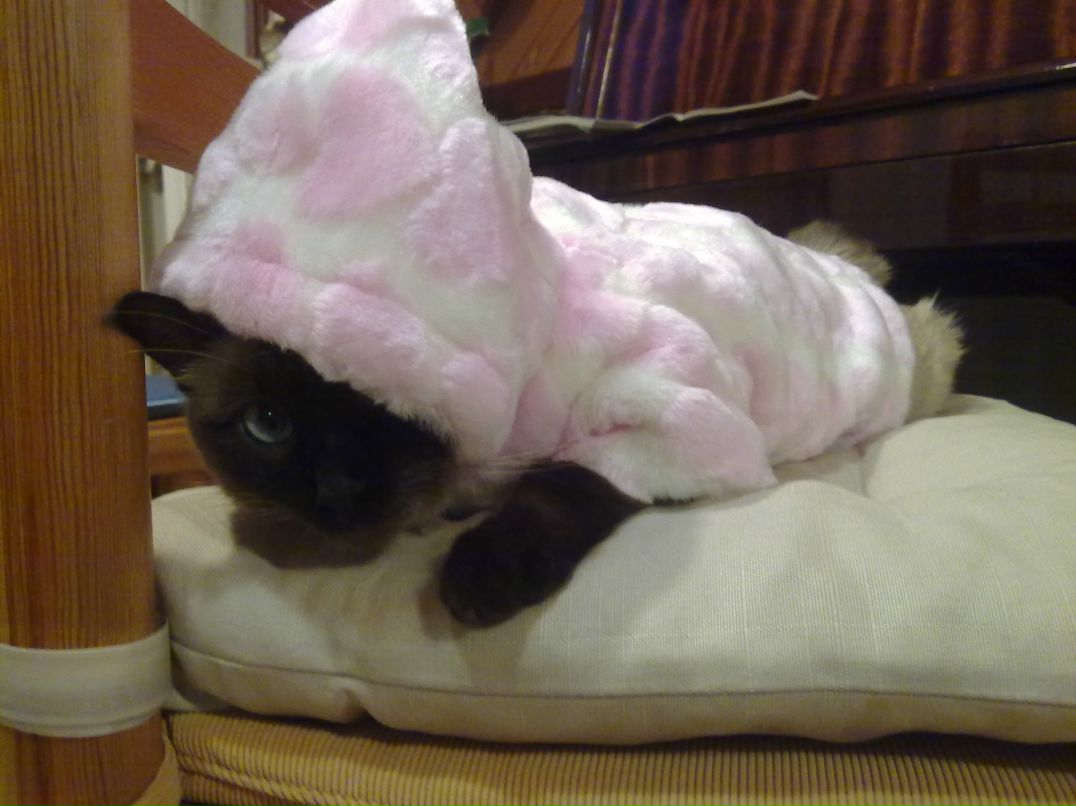 Виктория Панчук | Москва