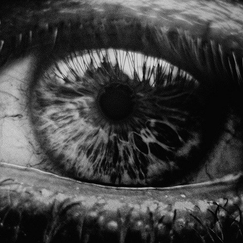 Сергей Козырёв | Monaco