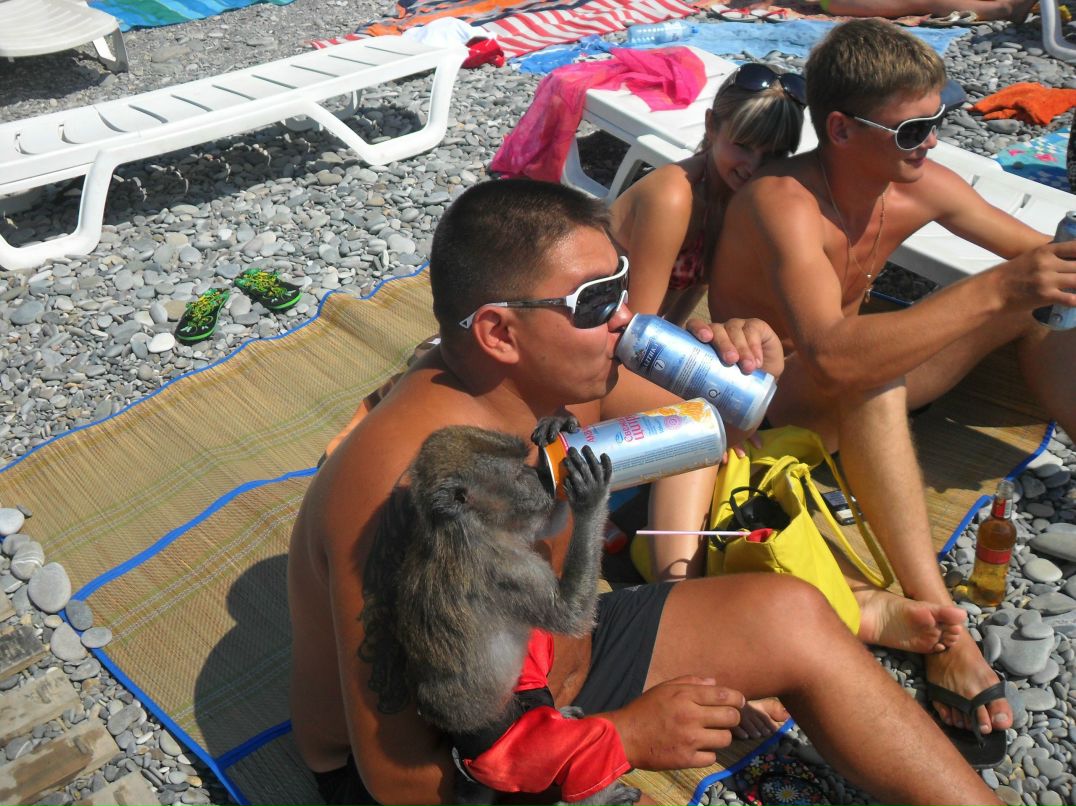 Сергей Беспалов | Ростов-на-Дону