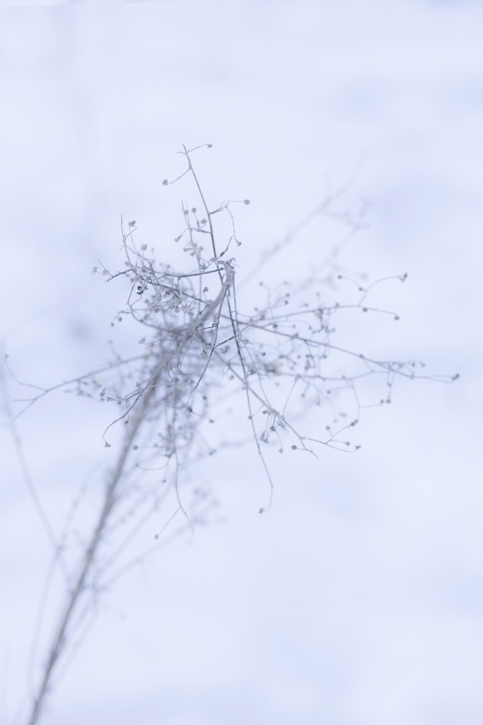 Наталья Сойко | Киев