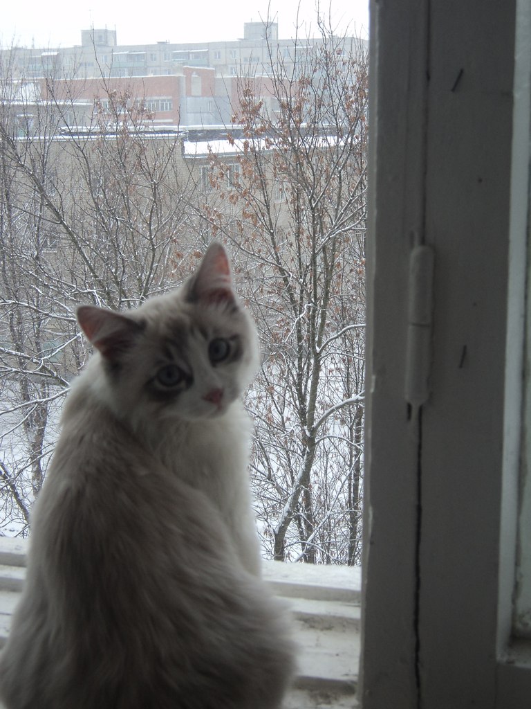 Катя Смолина | Ярославль