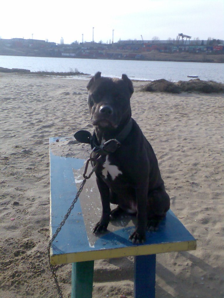 Лена Драгоненко | Одесса