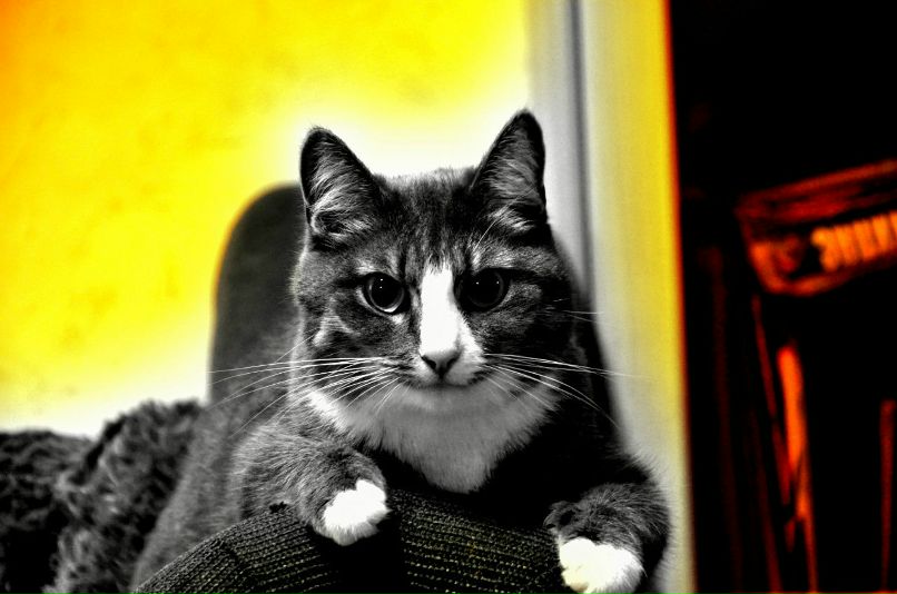 Артем Зуев | Москва