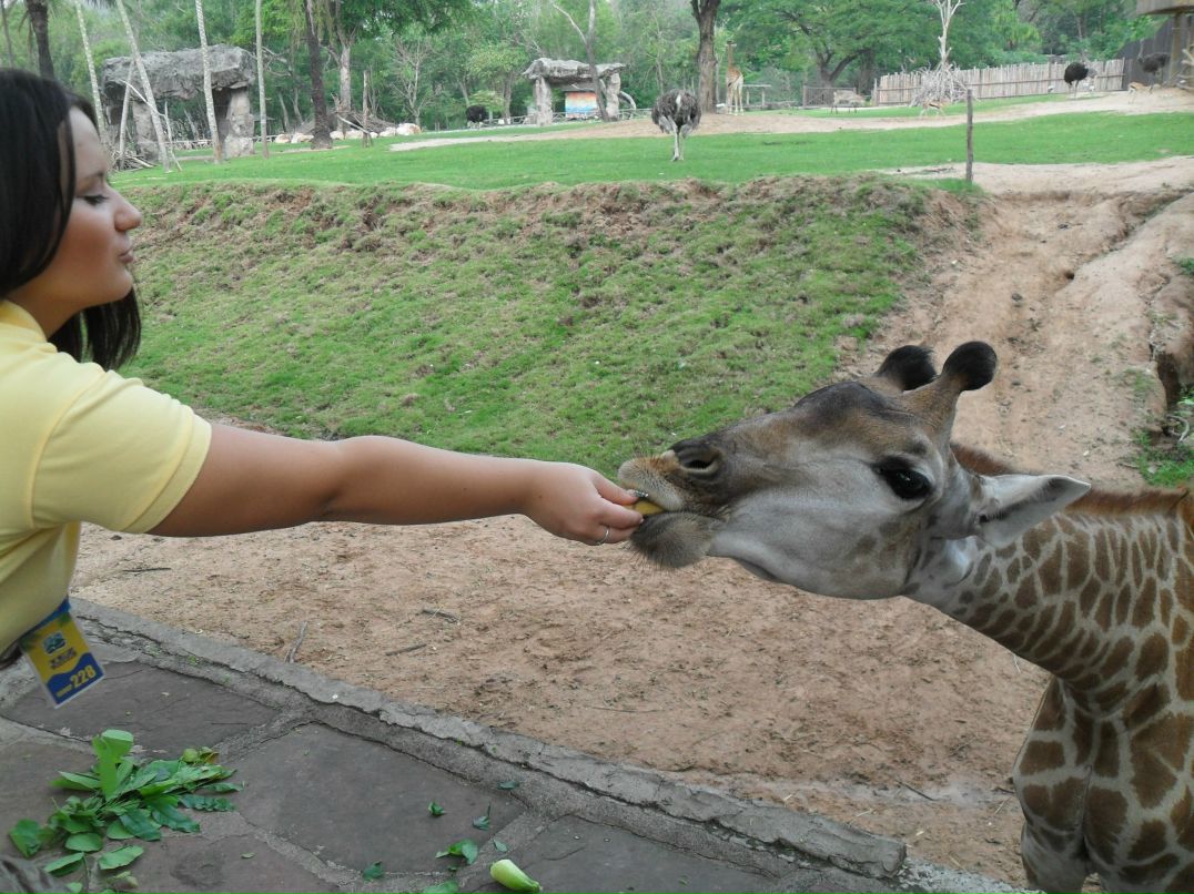 Алина Эльдаровна | Казань