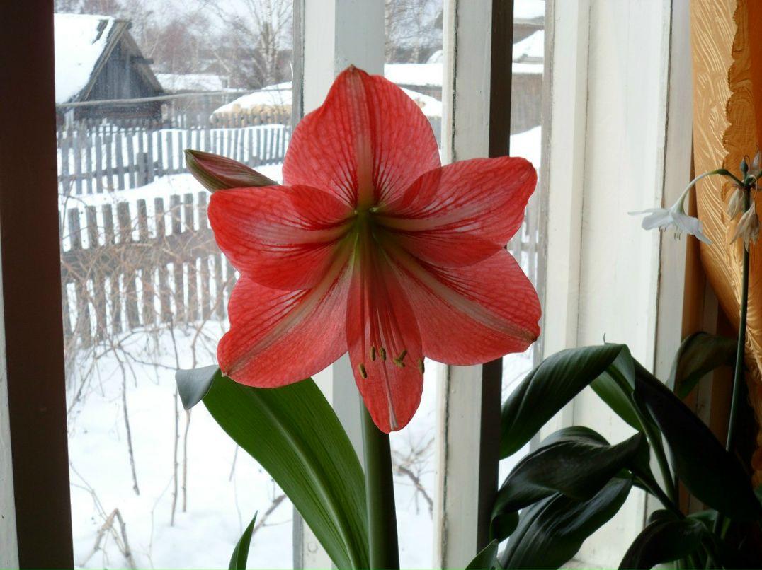 Наталья Билименко | Черевково