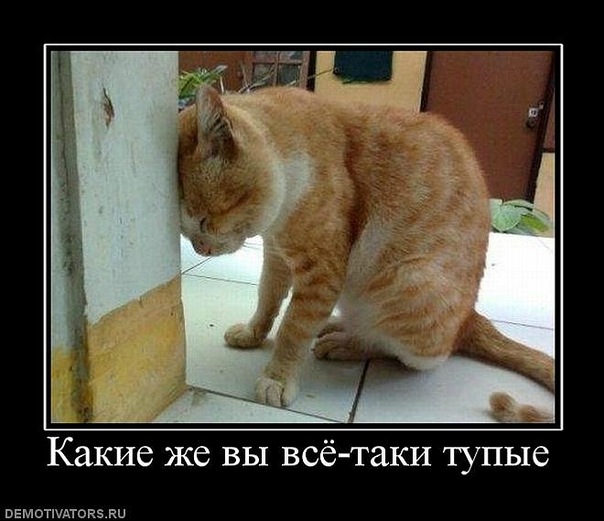 №3, Дима Яковлев, 41 год, Нягань №3, Дима Яковлев, 41 год, Нягань