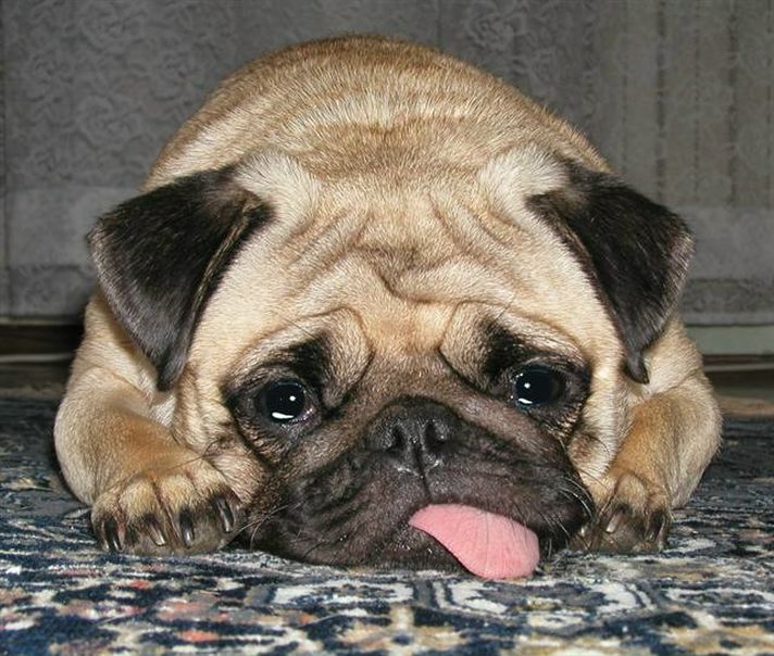 №25, Максим Кайгородцев, 37 лет, Тюмень №25, Максим Кайгородцев, 37 лет, Тюмень