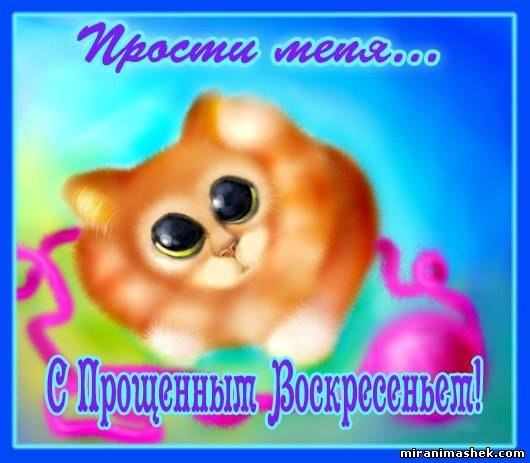 Алина Ткачук | Киев