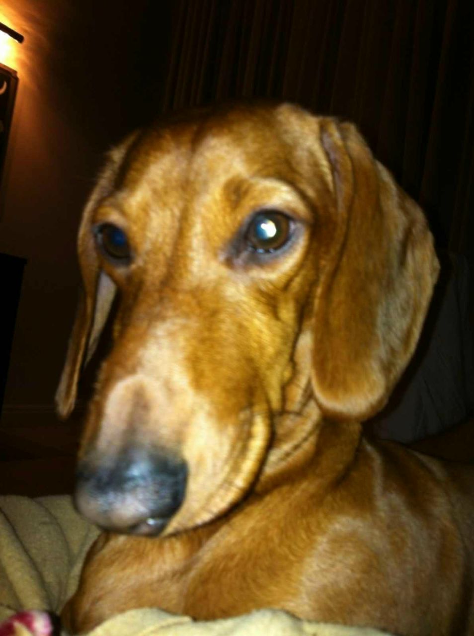 Игорь Авлосевич Румынович | Ташкент