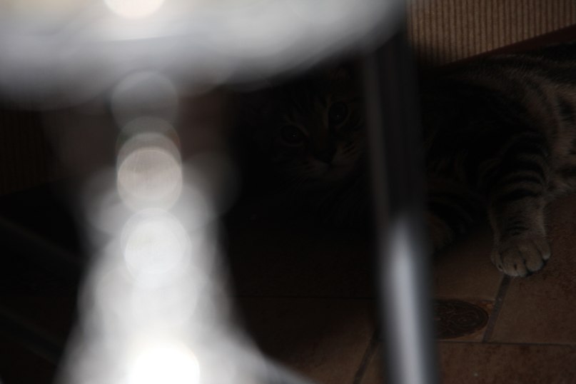 Валерий Ольховиков | Москва