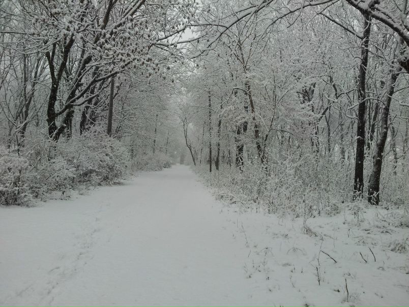 №39, Валентина Ананда, Симферополь №39, Валентина Ананда, Симферополь