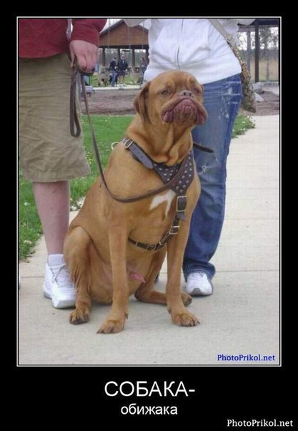 Юля Капелюшок | Киев