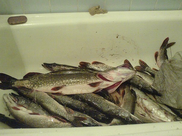 Вадим Голубев | Самара