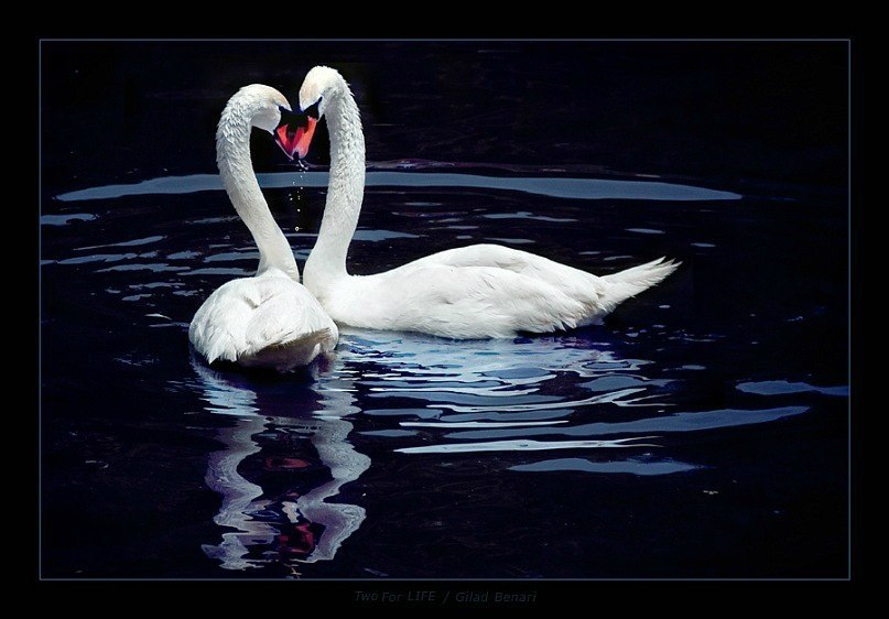 Андрей Глистюк | Харьков