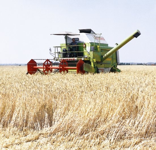 №3, Алёна Туликова, Москва №3, Алёна Туликова, Москва