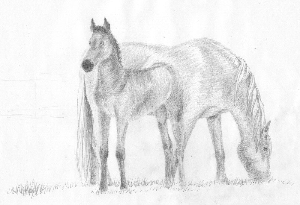 Татьяна Веремей | Рига