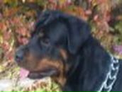 Катерина Курмашева | Калуга