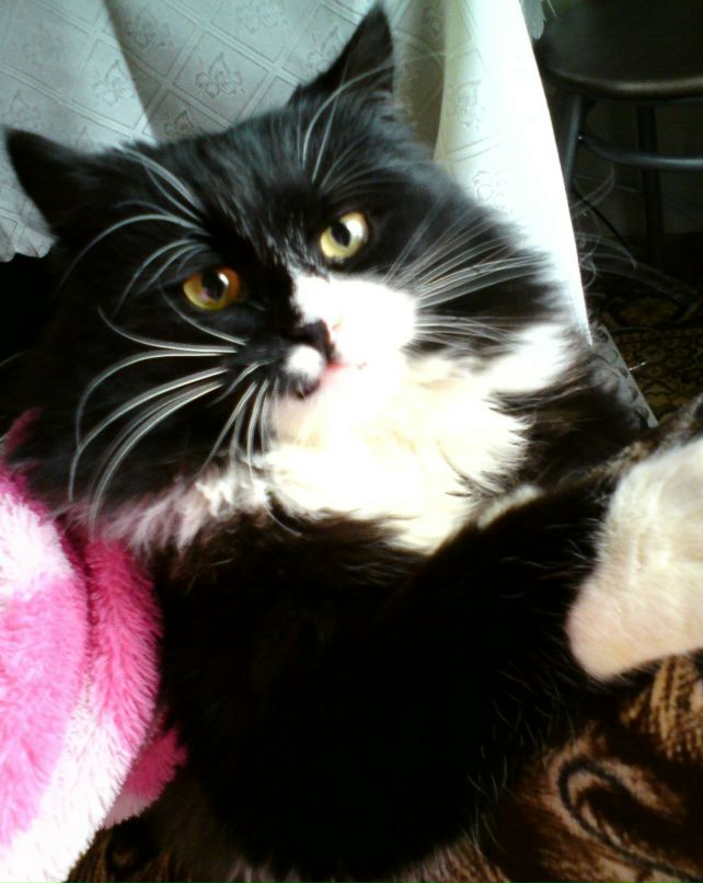 Мария Репина Умничк@! | Нижний Новгород