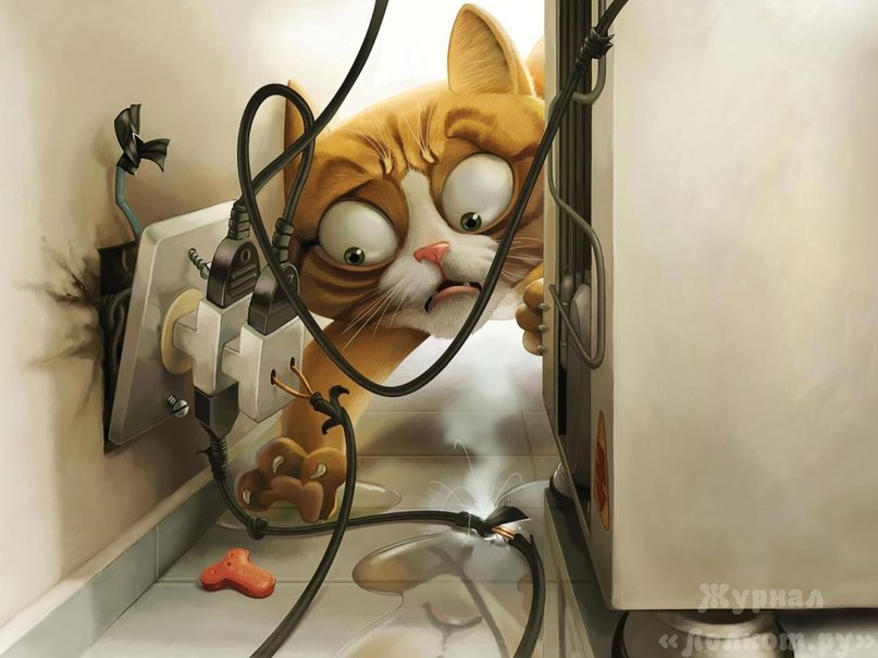 Андрей Кузнецов | Кандалакша