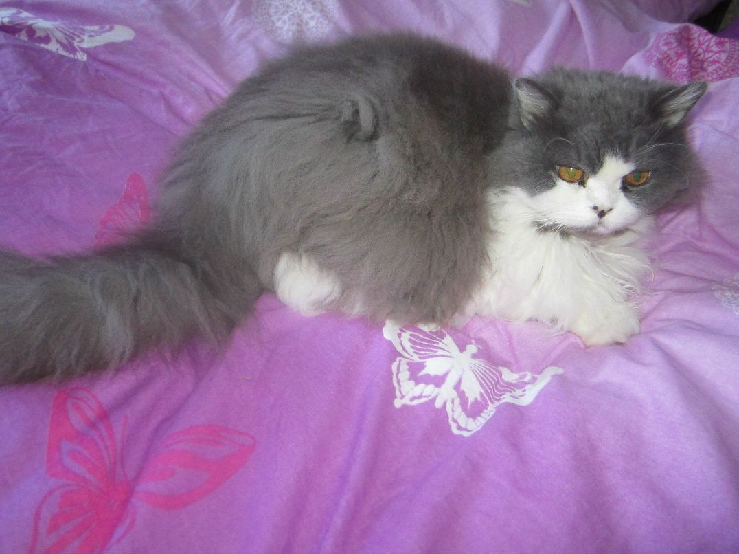 Анна Кузнецова | Санкт-Петербург