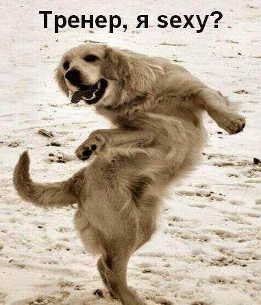 Настя Акулич | Санкт-Петербург