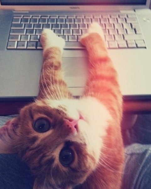 Дамир Жамалетдинов | Москва