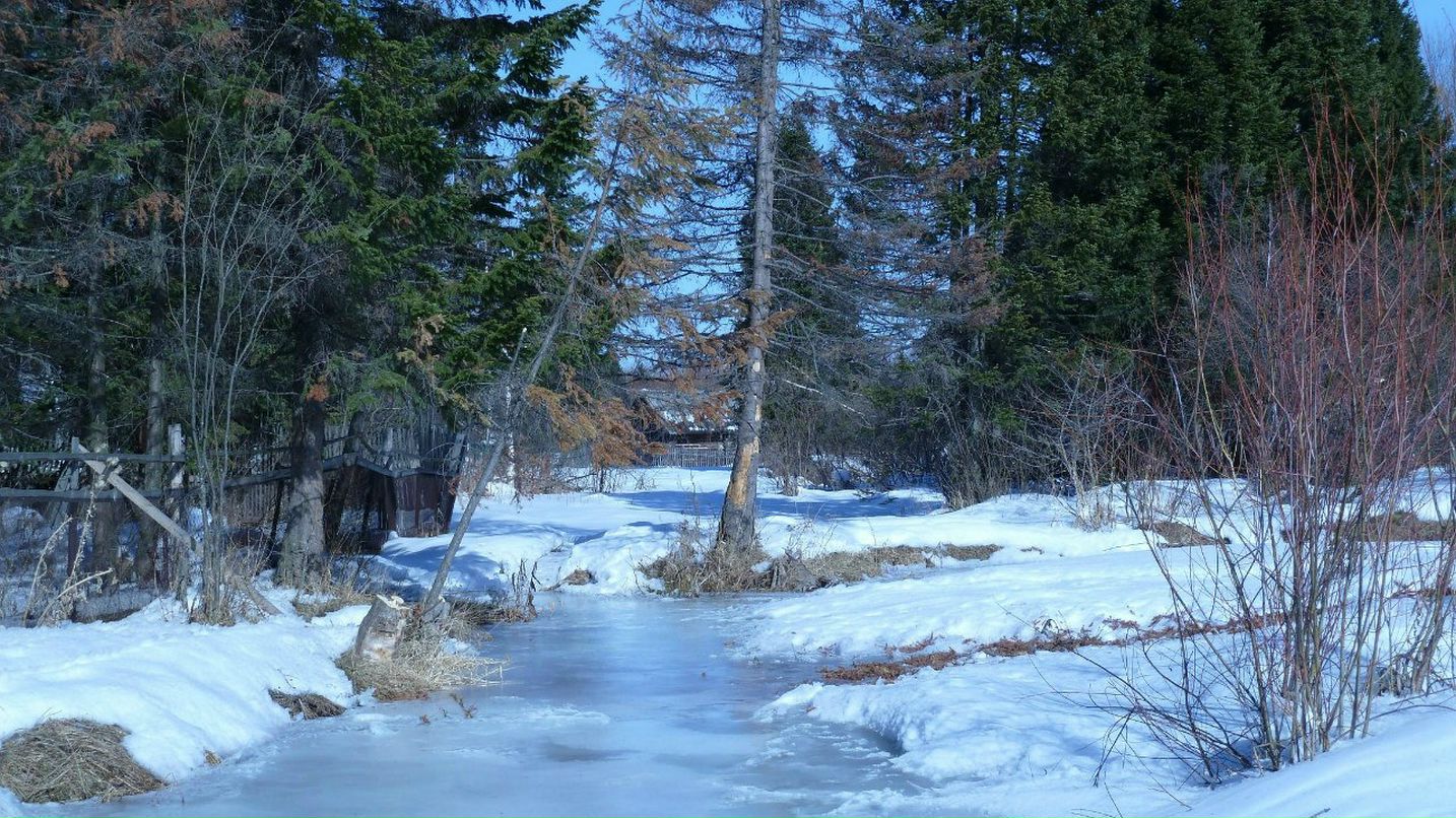 Тарас Вишняк | Новокузнецк