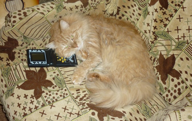 Светлана Ларшина | Бисерть