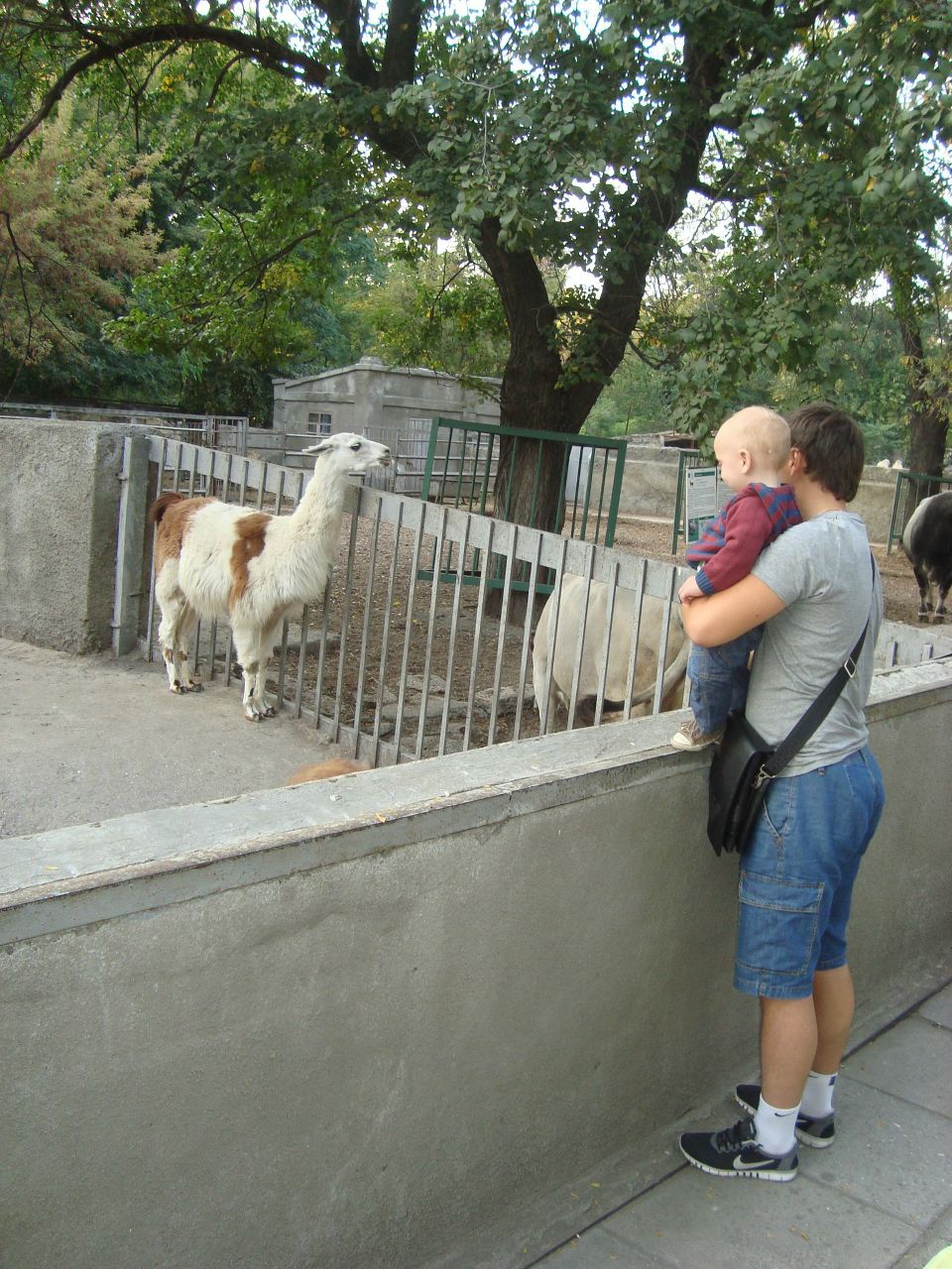 Олег Коваль | Одесса