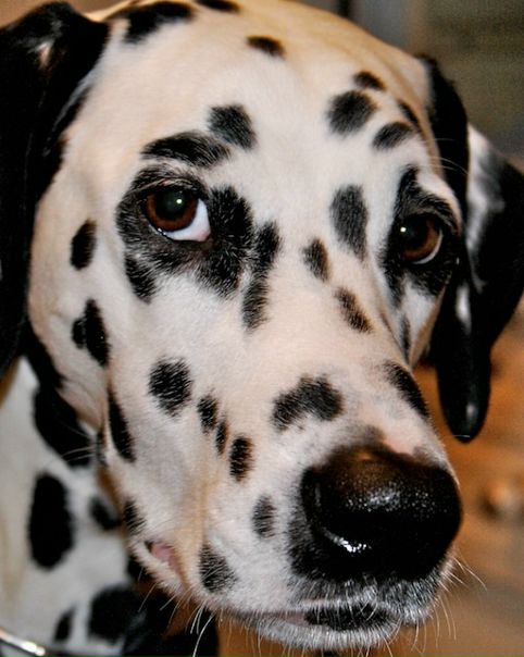 №3, Vadim Z, Москва №3, Vadim Z, Москва