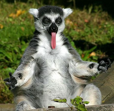 Олег Яцкив | 