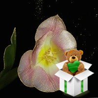 Елена Косьянова | Москва