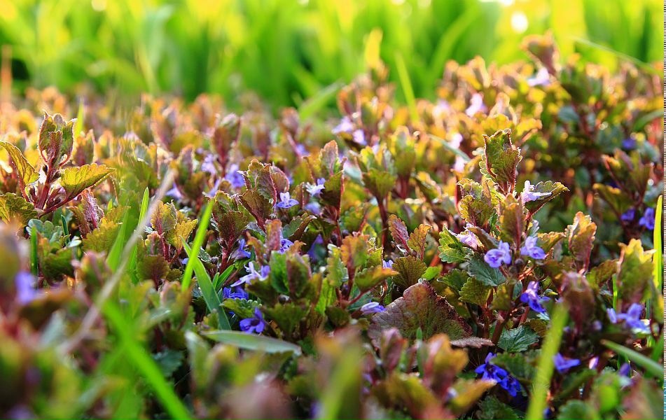 Наташка Чернявская | Одесса