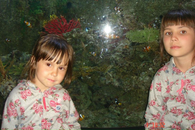 Светлана Блинова | Чебоксары