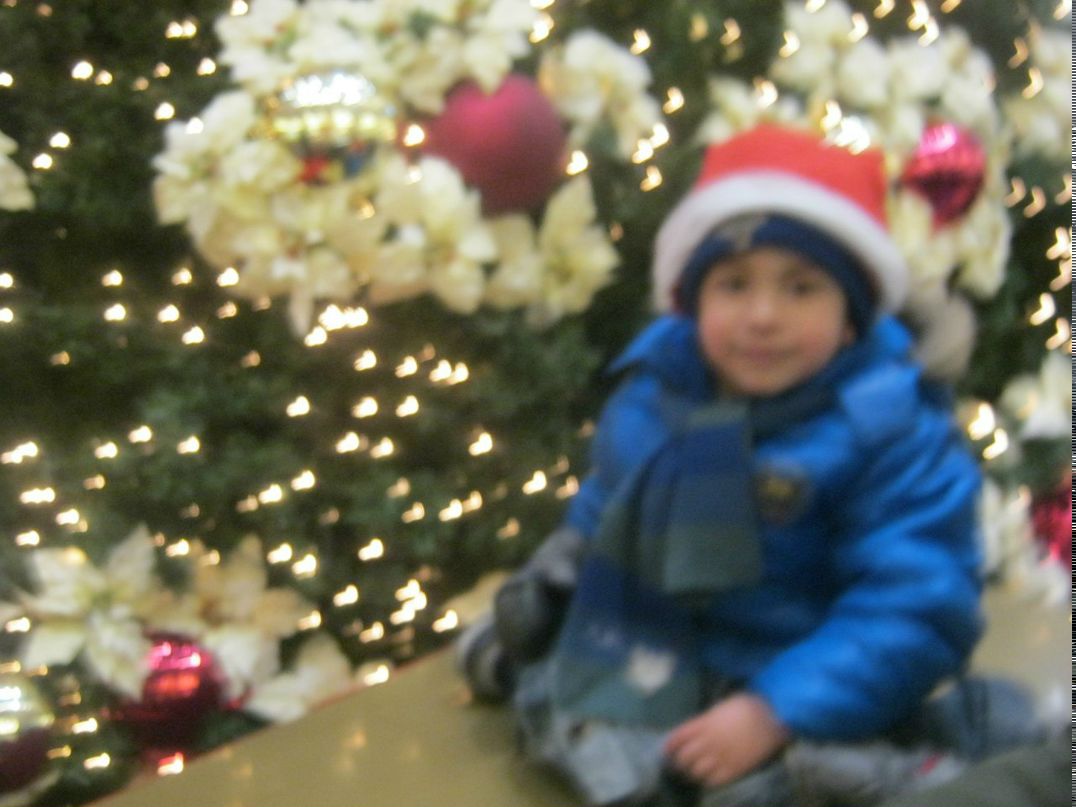 Shanna Gartung | Frankfurt am Main