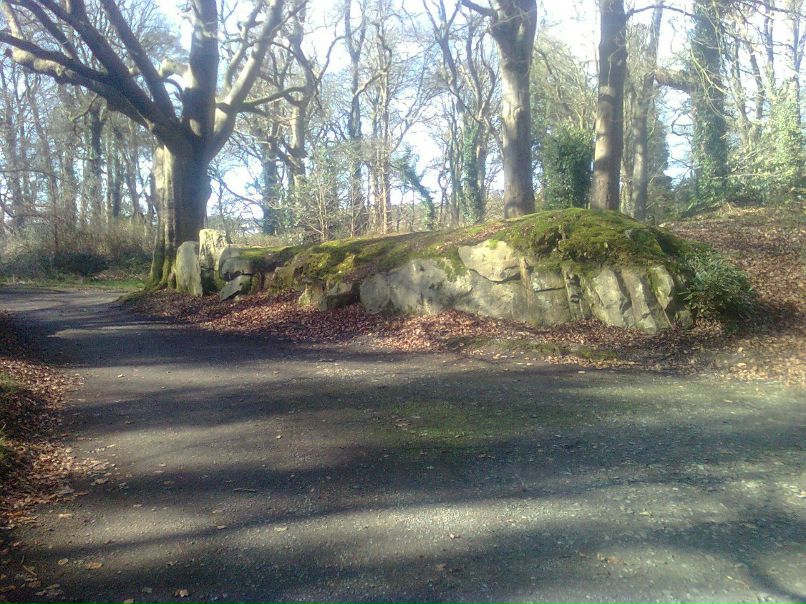 Jarek Zebrowski | Bessbrook