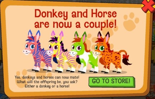 Марго Вайс | Санкт-Петербург