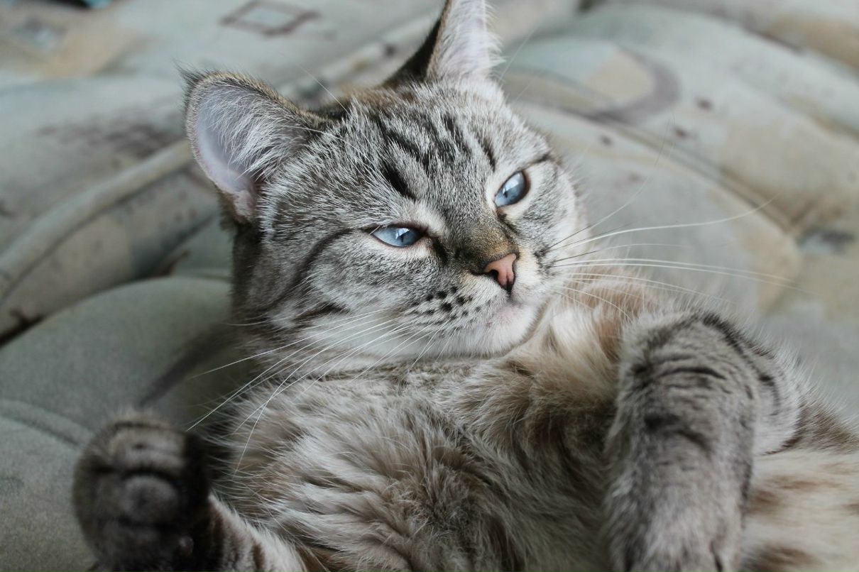 Наталья Маклакова | Заречный