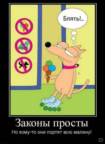 Екатерина Смирнова-Костогрыз | Иркутск