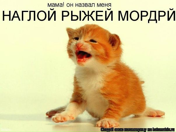 №147, Броня Сопилка, Одесса №147, Броня Сопилка, Одесса