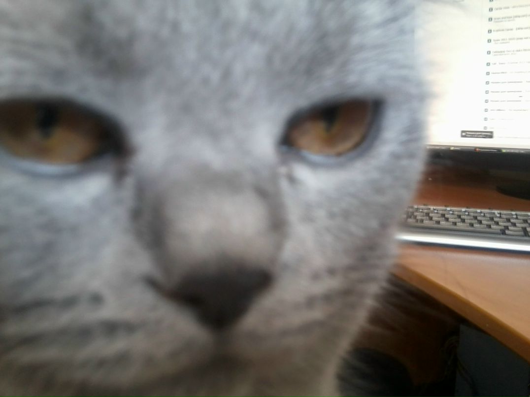 Михаил Шакин | Омск