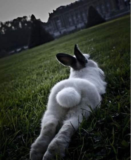 Наталья Солопова | Новосибирск