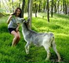 №36 Нина Коробкина 24.04.1987: профиль, фото, статус - ВКонтакте
