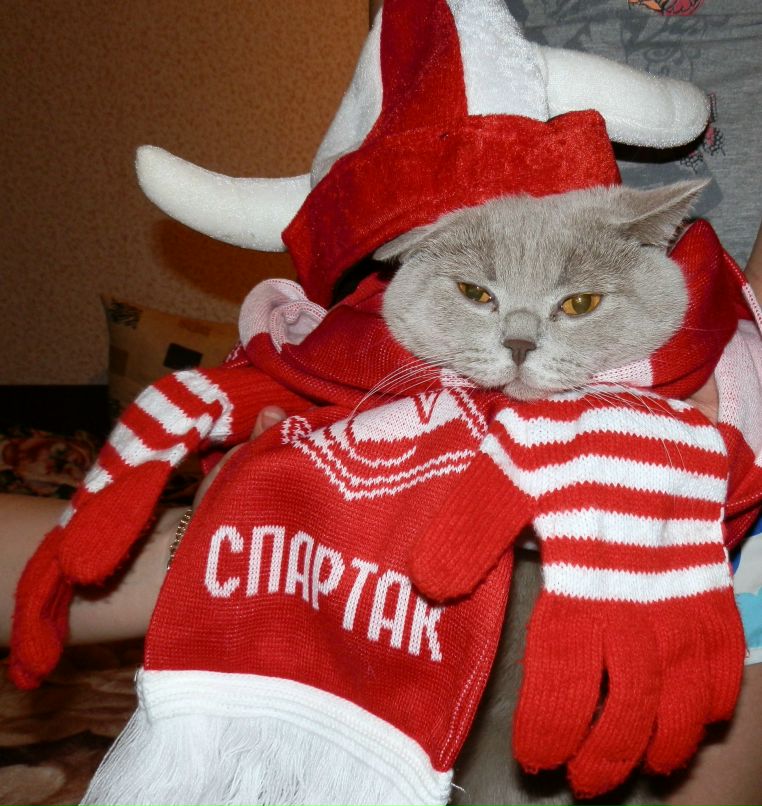 Светлана Бабина | Заречный