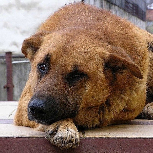 Женек-=$portsmen= Вячеславович | Белгород