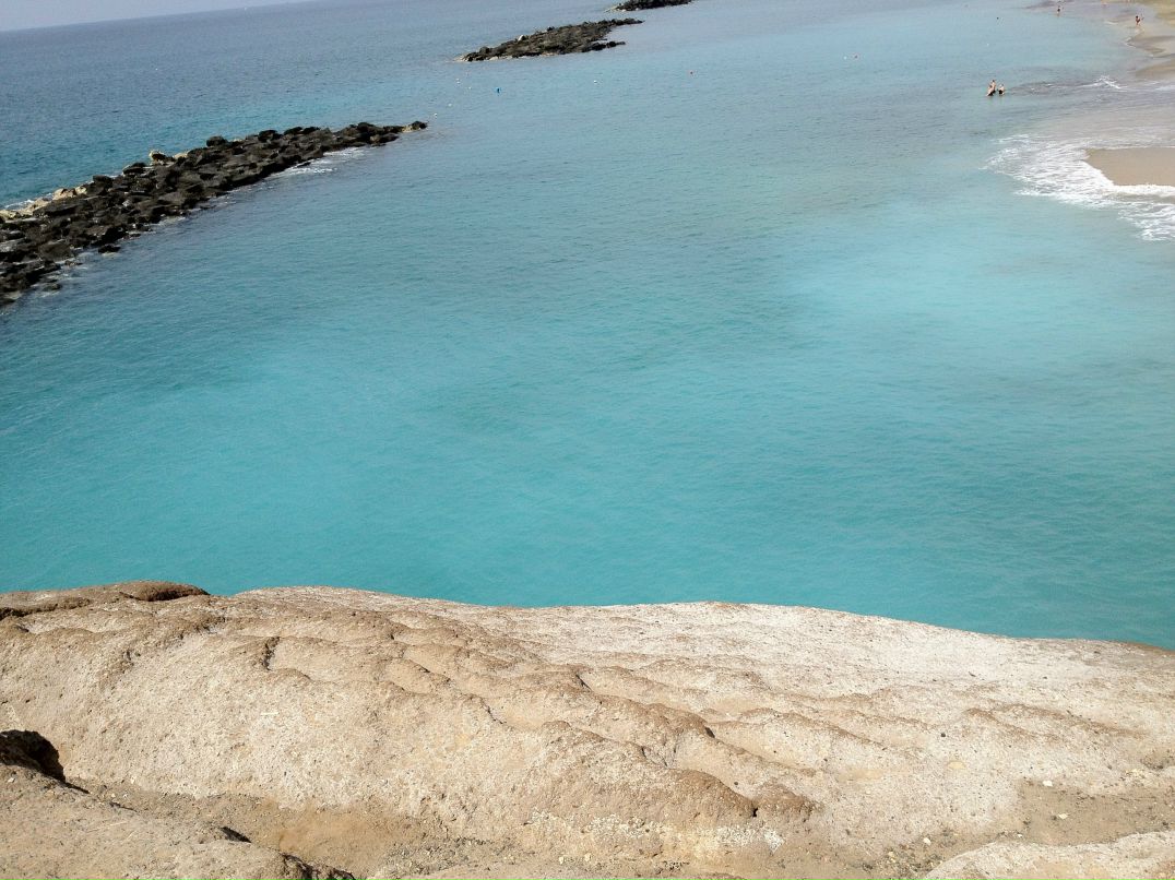 Сергей Ковалёв Солнечный | Санкт-Петербург