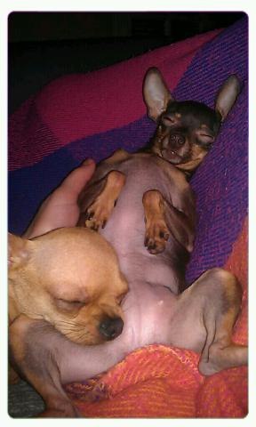 Екатерина Кичёва Kicha | Санкт-Петербург