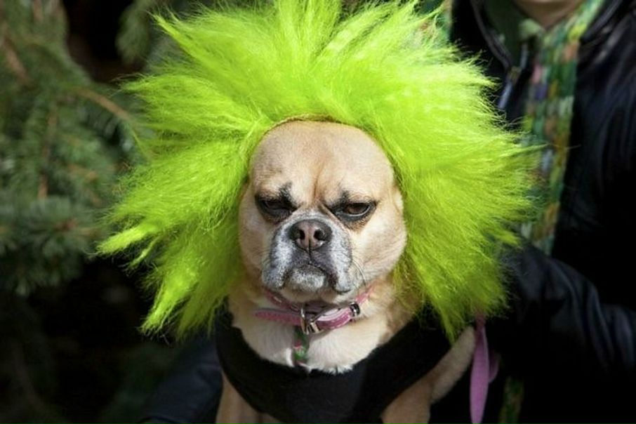 №63, Вероника Кричевцова, Люберцы №63, Вероника Кричевцова, Люберцы